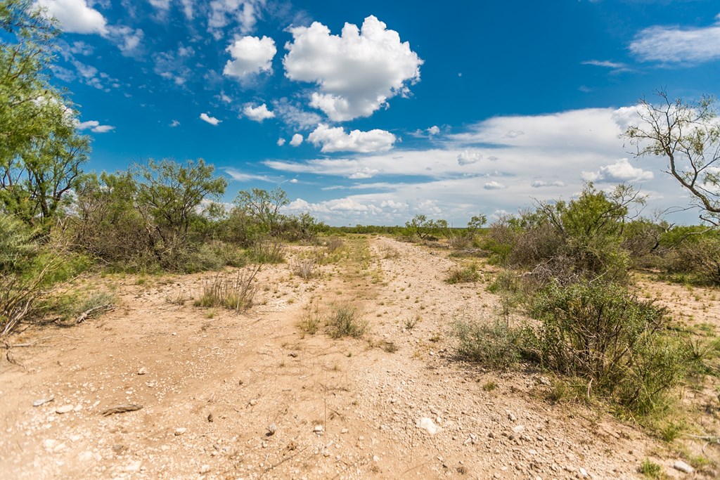 Other #AB855, Talpa, Texas image 5