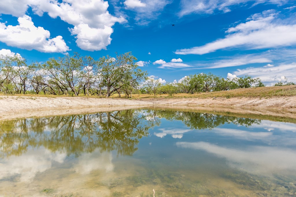 Other #AB855, Talpa, Texas image 39