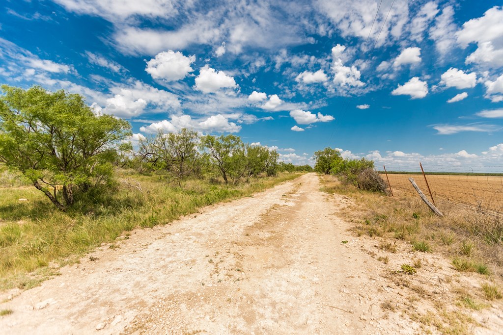 Other #AB855, Talpa, Texas image 2