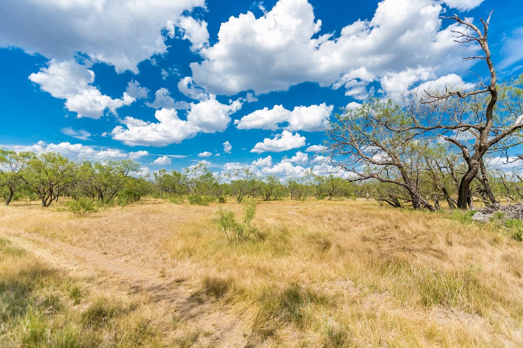 Other #AB855, Talpa, Texas image 45