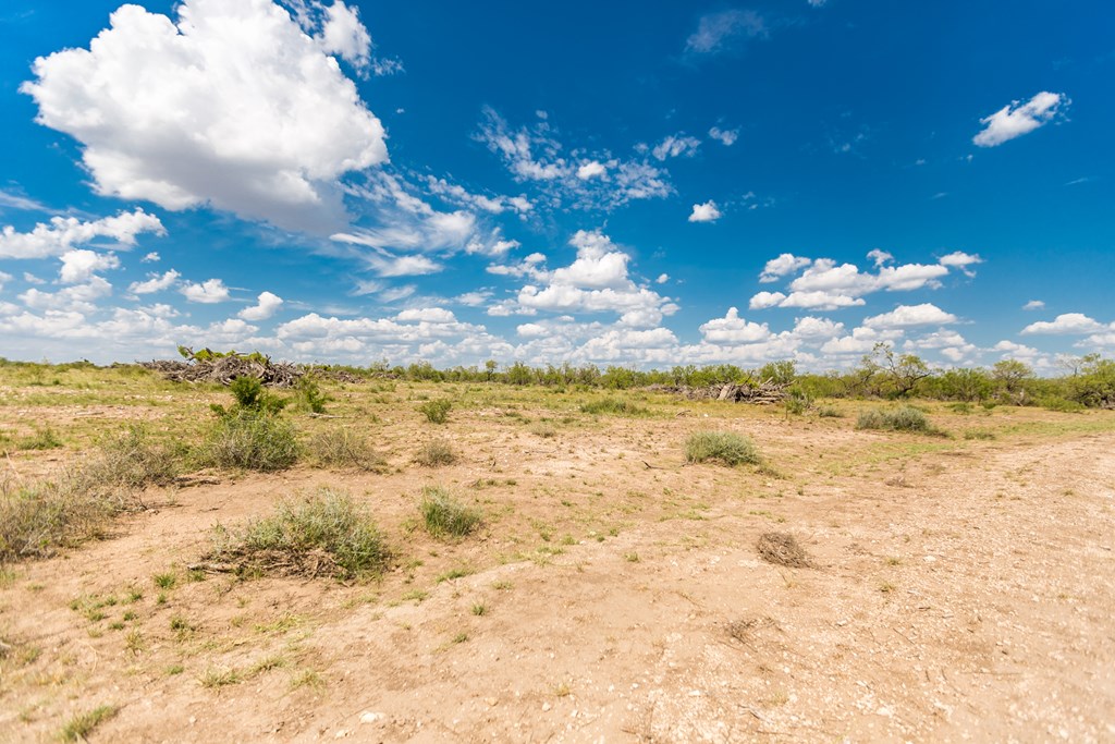 Other #AB855, Talpa, Texas image 21