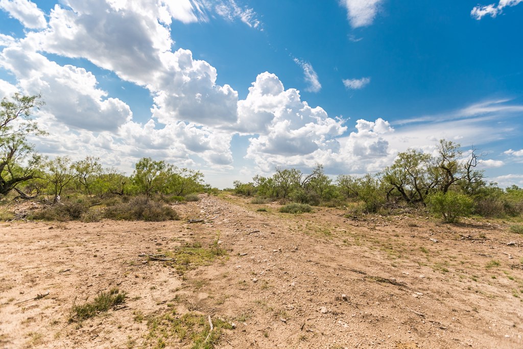 Other #AB855, Talpa, Texas image 18