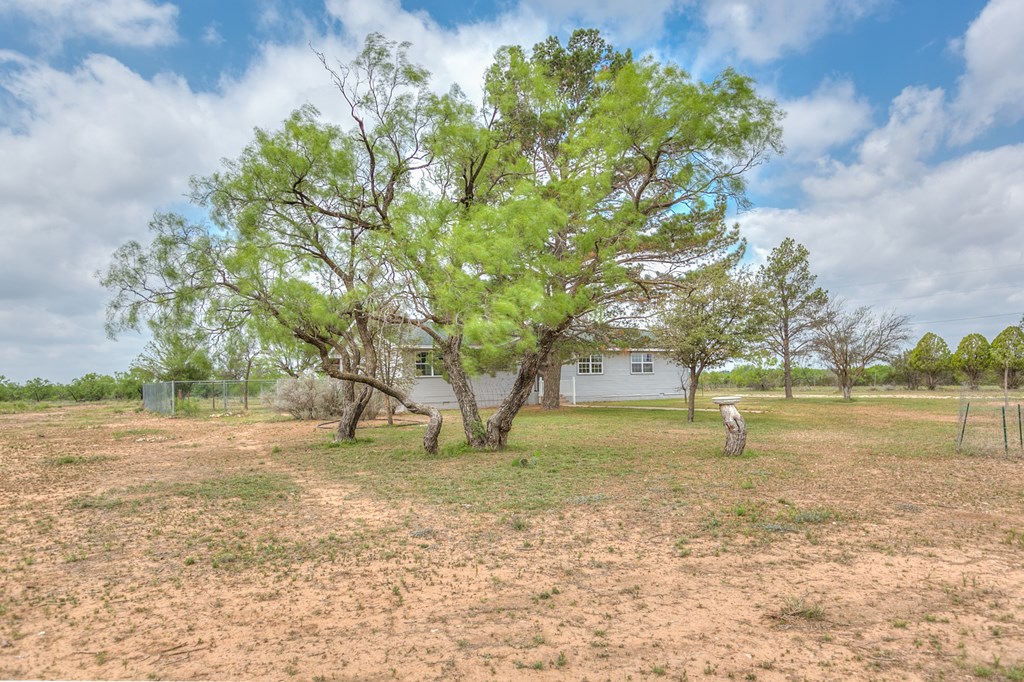 11533 White Tail Lane, San Angelo, Texas image 29