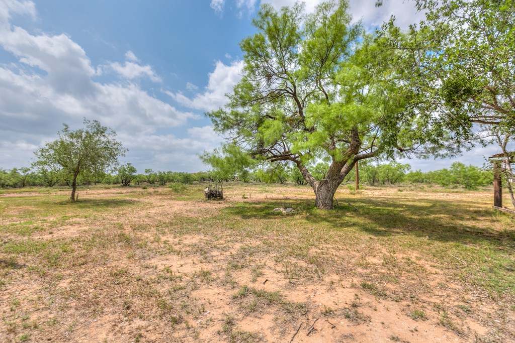 11533 White Tail Lane, San Angelo, Texas image 31