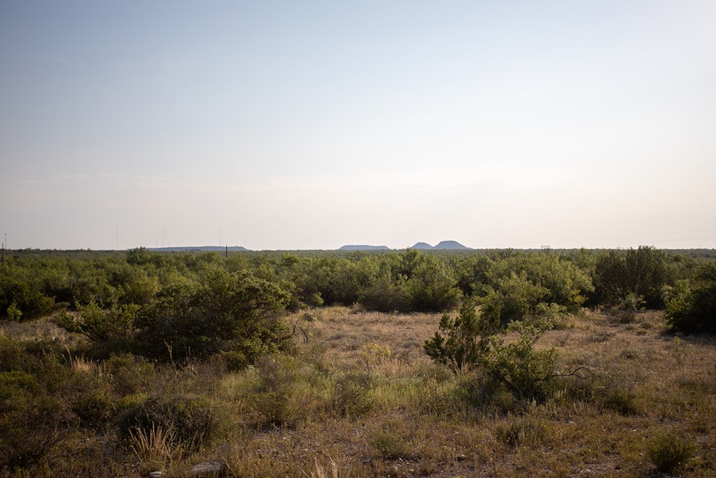 6174 Eugene Trl #TRACT 9, San Angelo, Texas image 12