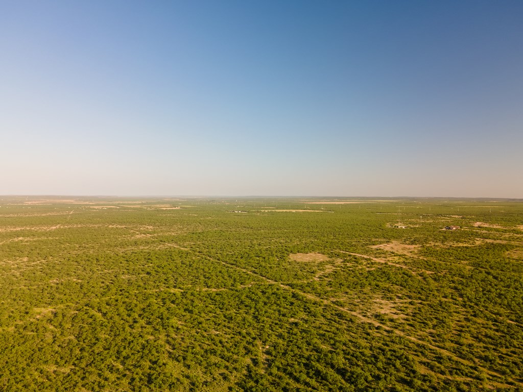 6174 Eugene Trl #TRACT 9, San Angelo, Texas image 31