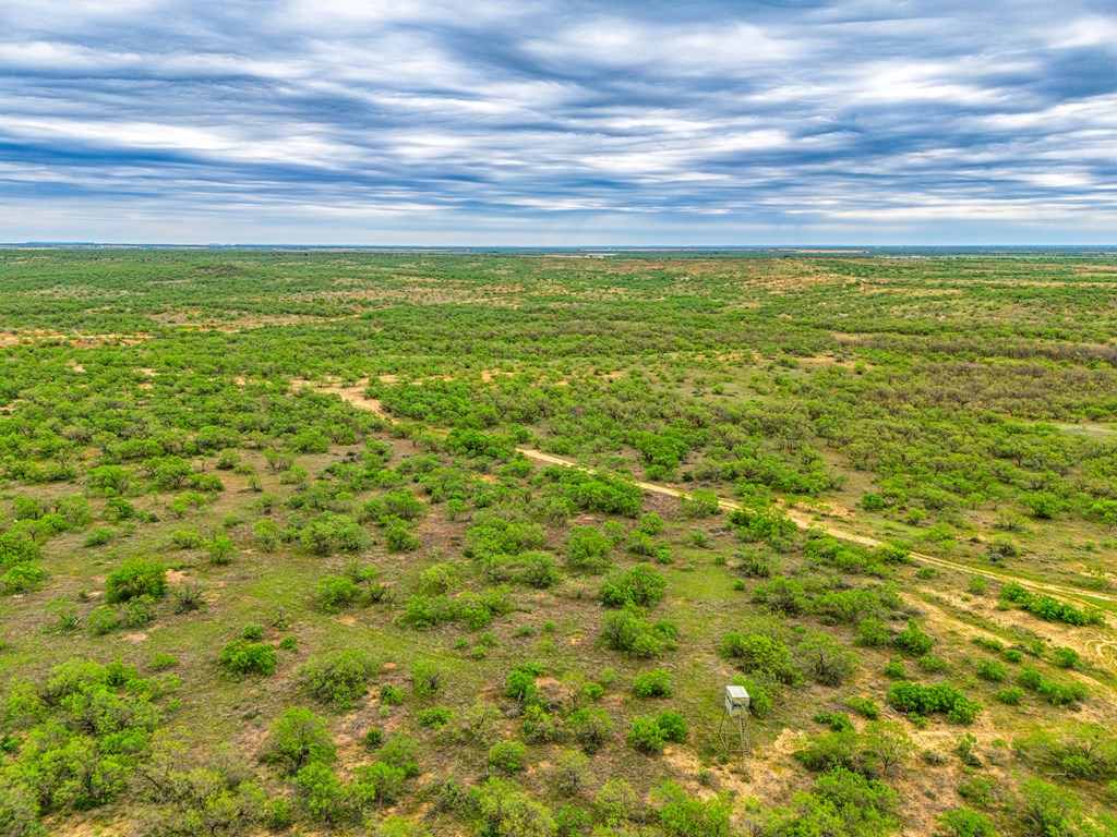 0000 County Rd 289, Ballinger, Texas image 5