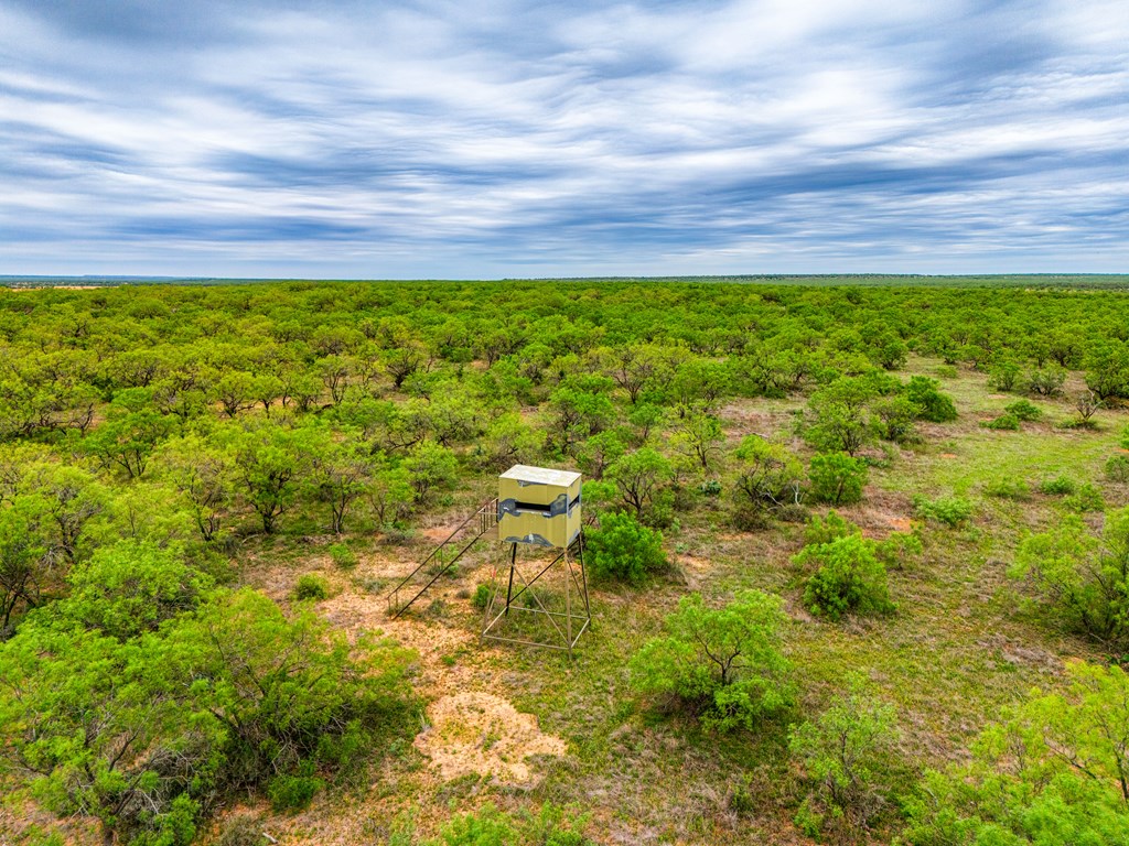 0000 County Rd 289, Ballinger, Texas image 4