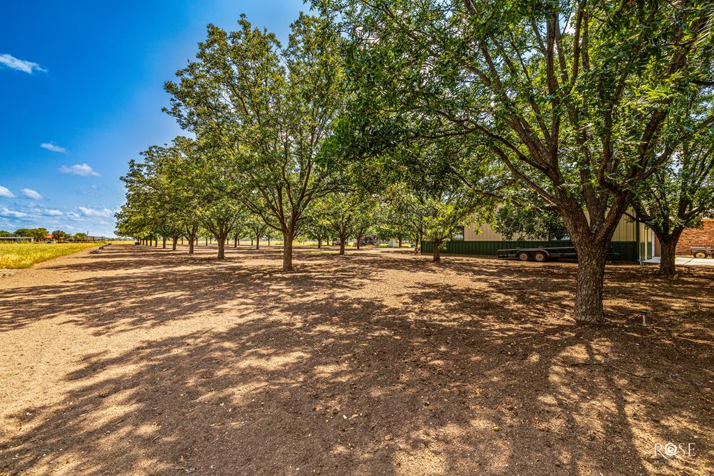 3721 Blumentritt Rd, San Angelo, Texas image 38