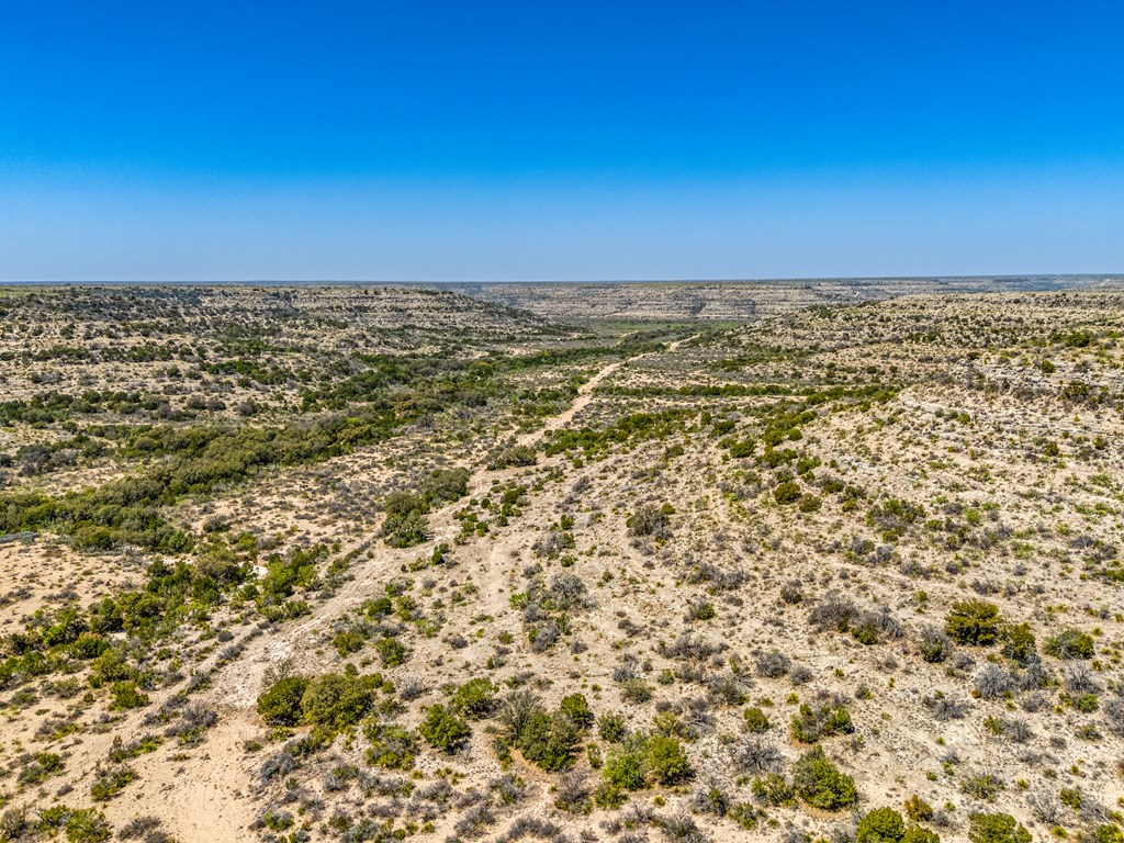 . Deer Run Rd #TR 89, Ozona, Texas image 16