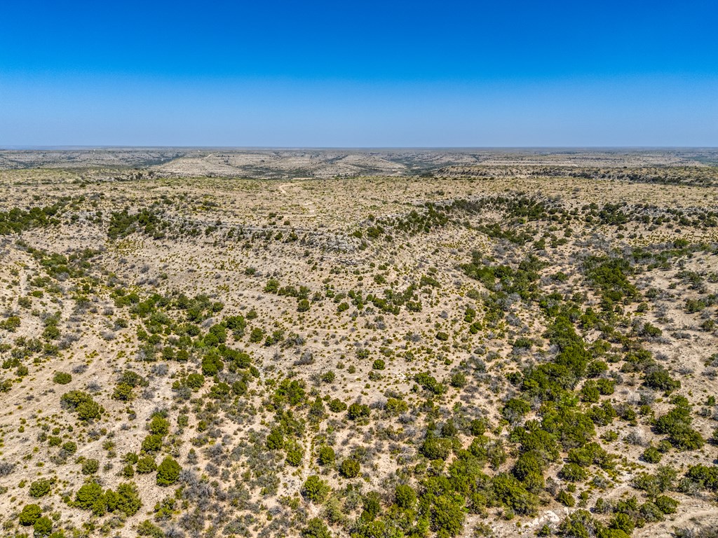 . Deer Run Rd #TR 89, Ozona, Texas image 20
