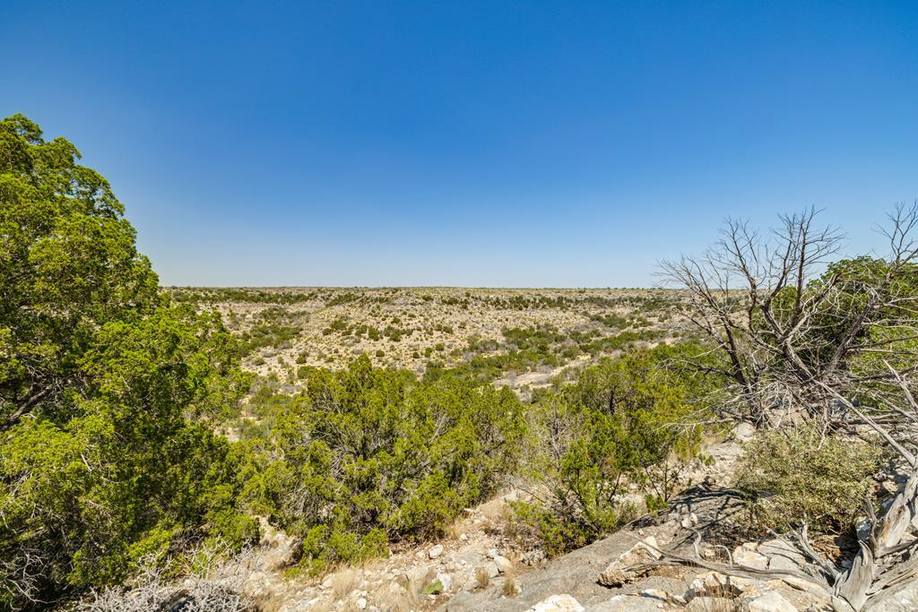 . Deer Run Rd #TR 89, Ozona, Texas image 2