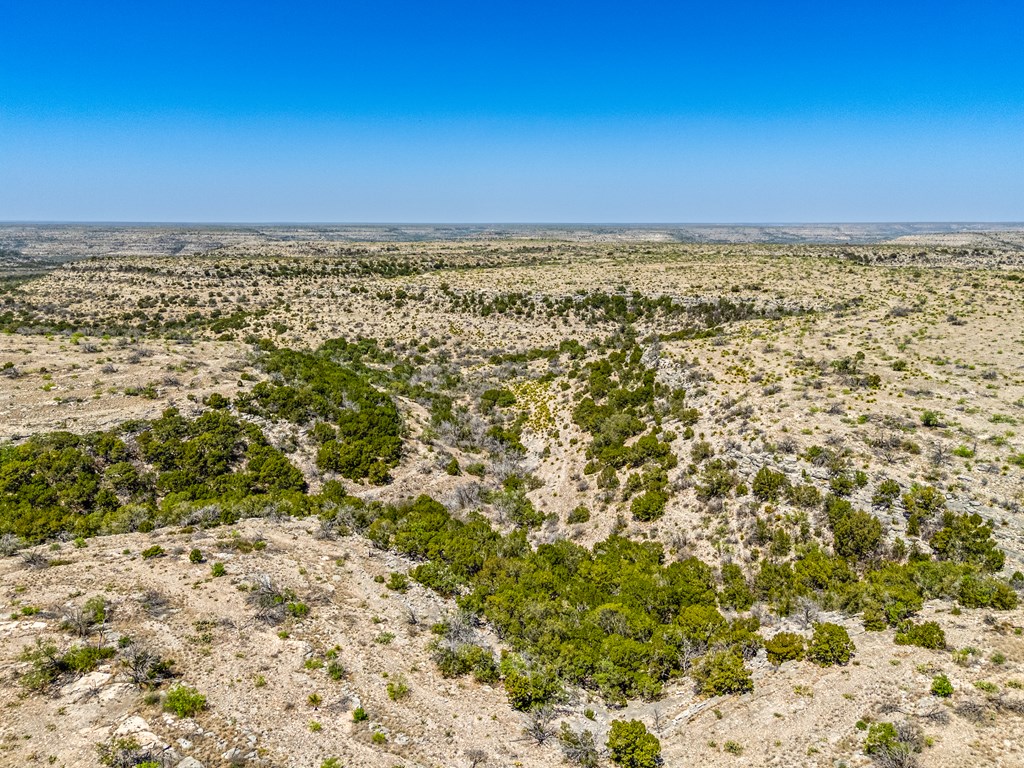 . Deer Run Rd #TR 89, Ozona, Texas image 4