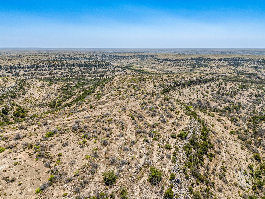 . Deer Run Rd #TR 89, Ozona, Texas image 40