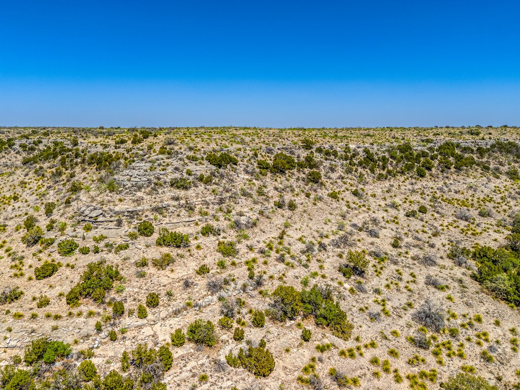 . Deer Run Rd #TR 89, Ozona, Texas image 24