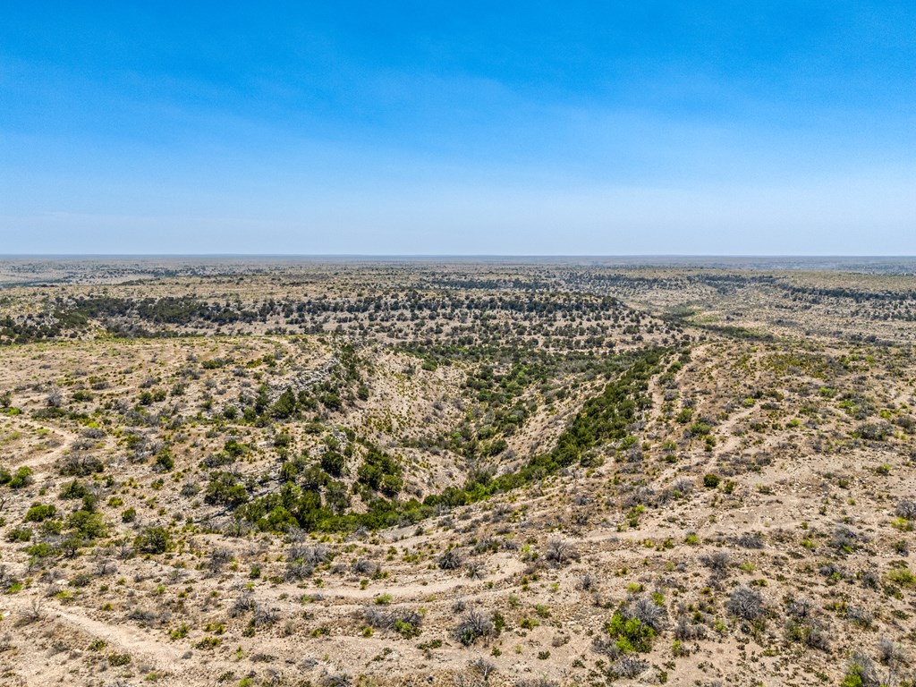 . Deer Run Rd #TR 89, Ozona, Texas image 33