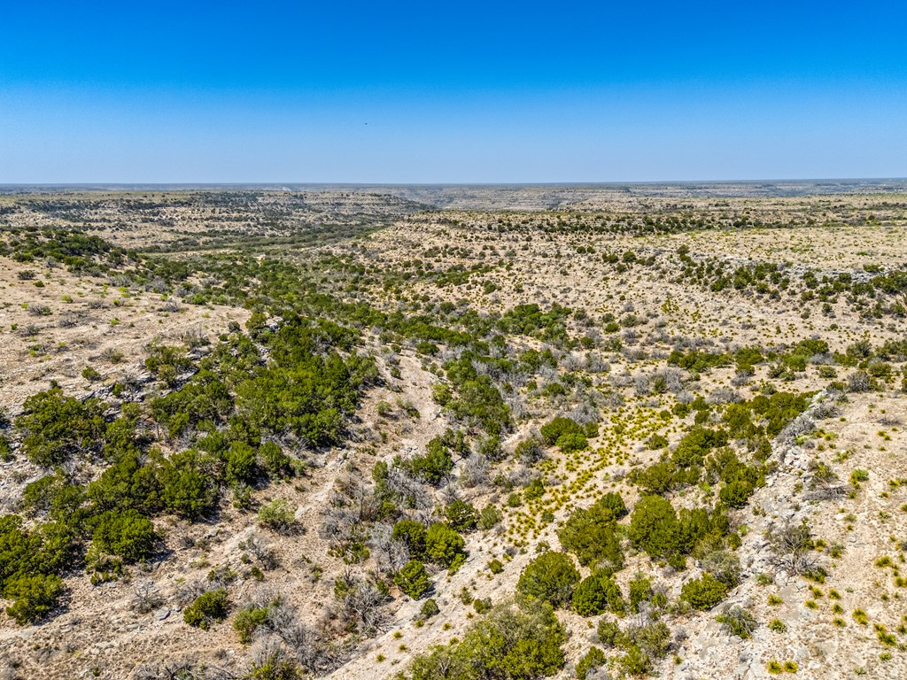 . Deer Run Rd #TR 89, Ozona, Texas image 9