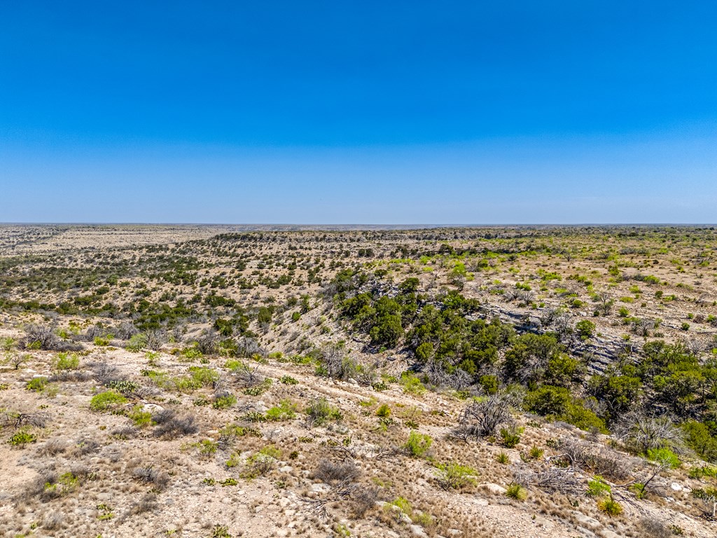 . Deer Run Rd #TR 89, Ozona, Texas image 42