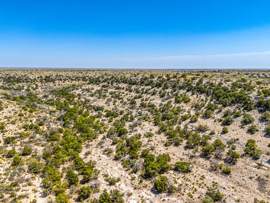 . Deer Run Rd #TR 89, Ozona, Texas image 17