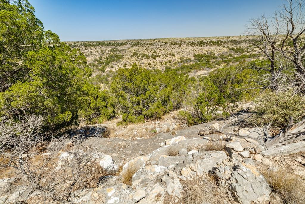 . Deer Run Rd #TR 89, Ozona, Texas image 1
