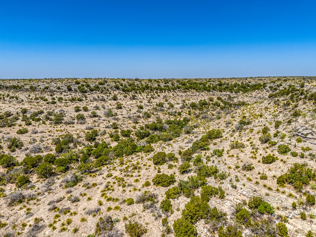 . Deer Run Rd #TR 89, Ozona, Texas image 25