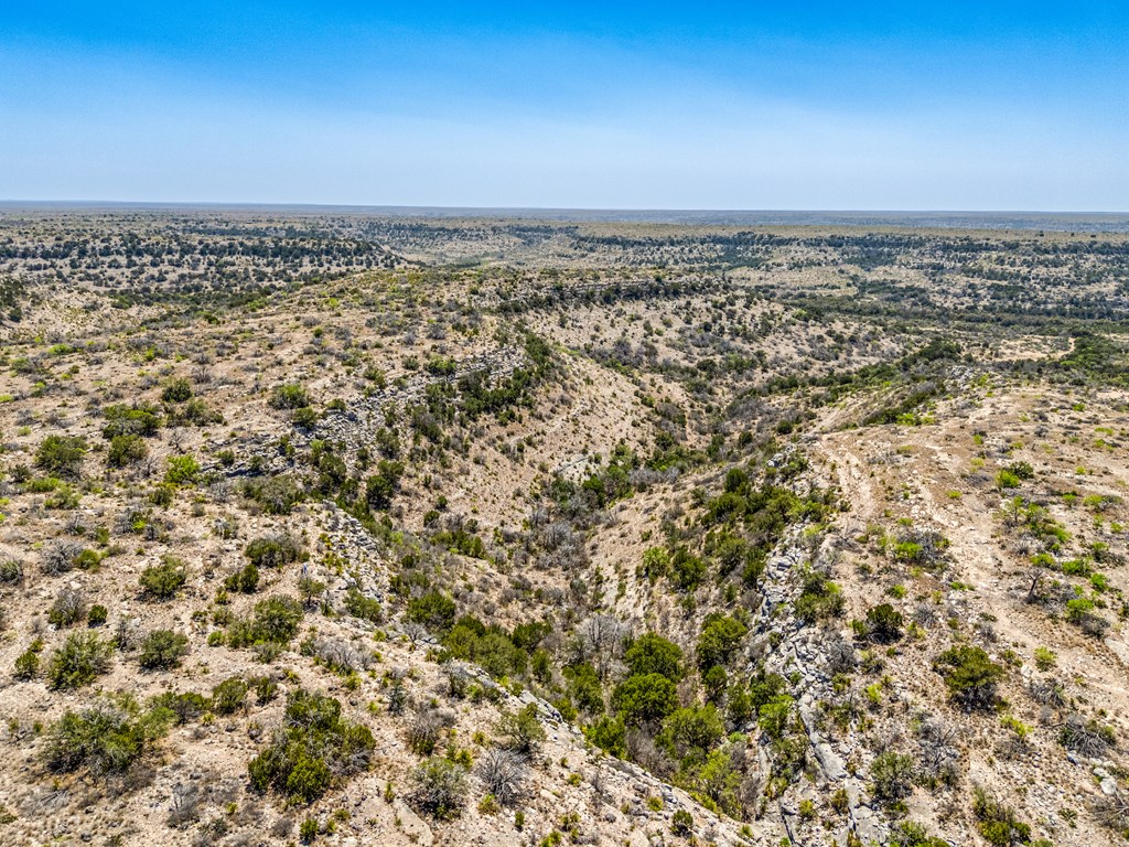 . Deer Run Rd #TR 89, Ozona, Texas image 36