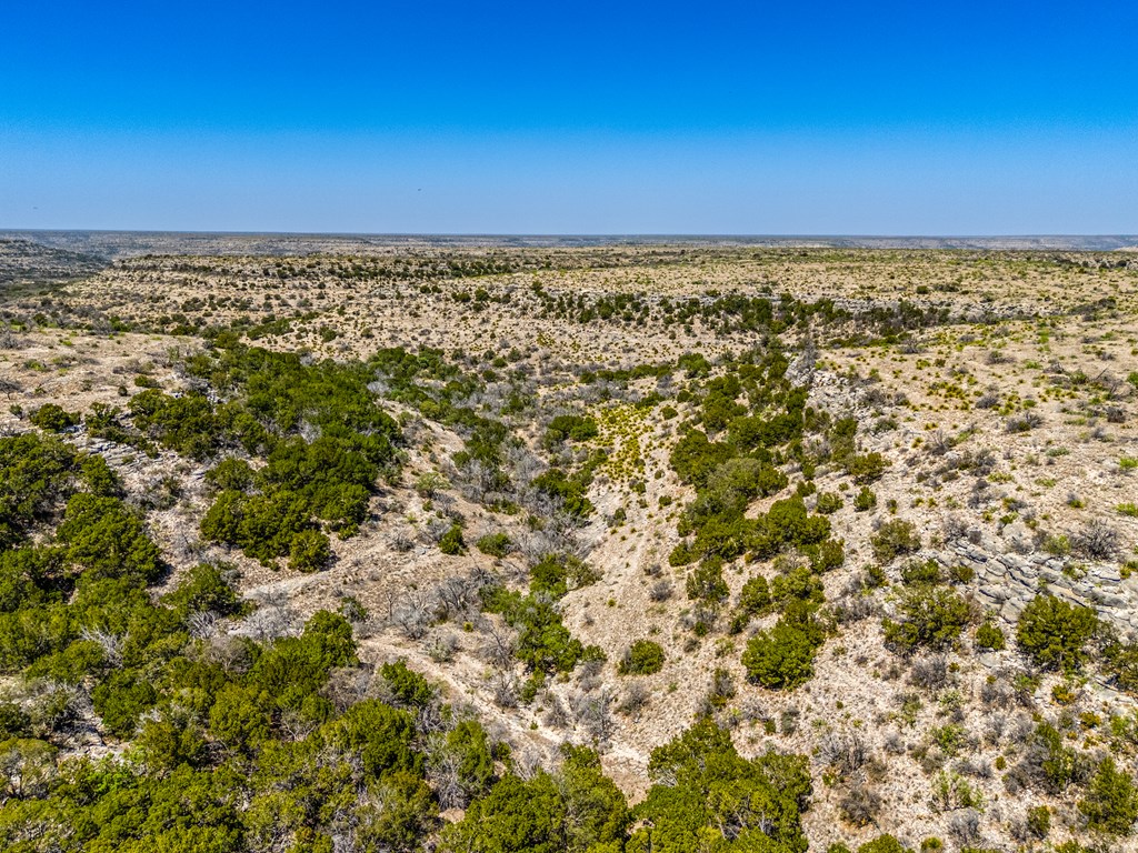 . Deer Run Rd #TR 89, Ozona, Texas image 5