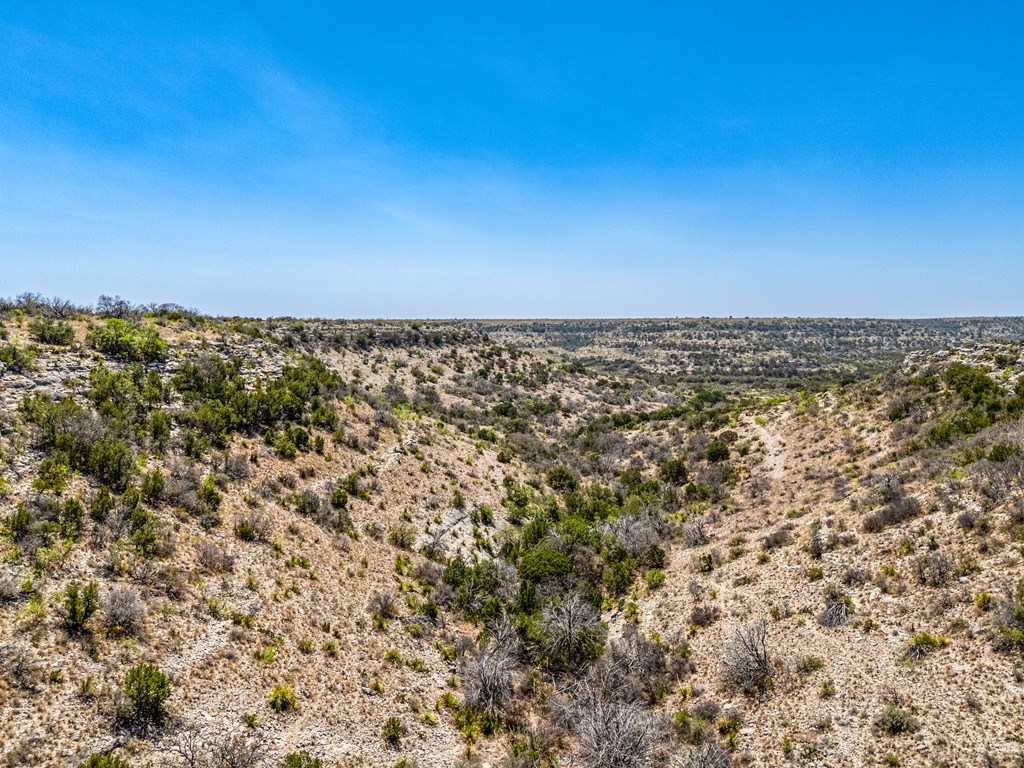 . Deer Run Rd #TR 89, Ozona, Texas image 27