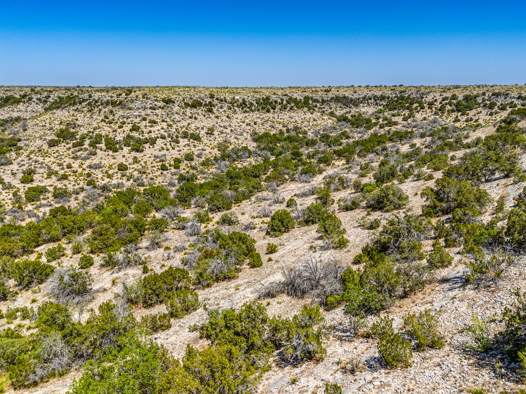 . Deer Run Rd #TR 89, Ozona, Texas image 22