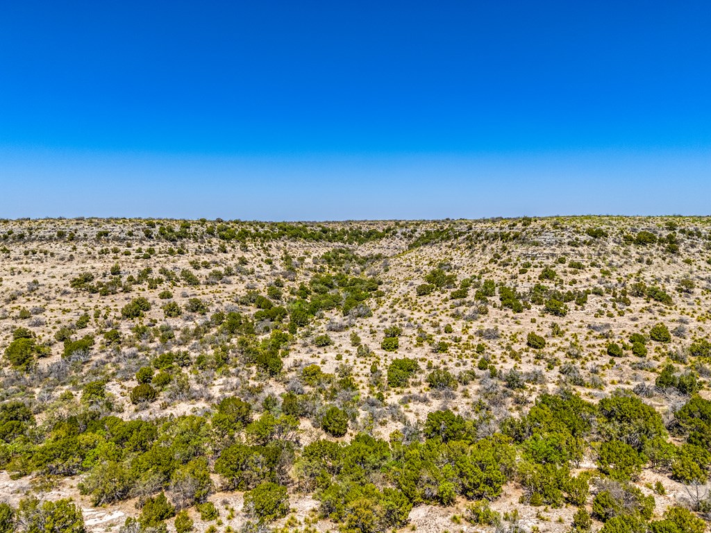 . Deer Run Rd #TR 89, Ozona, Texas image 13