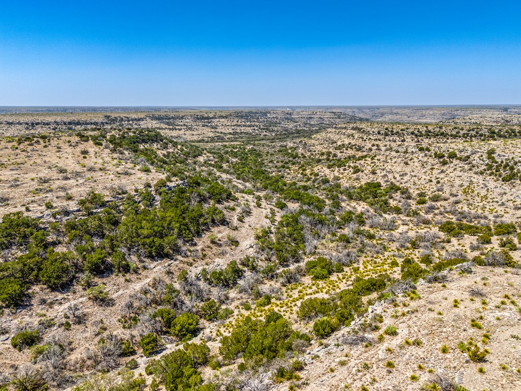 . Deer Run Rd #TR 89, Ozona, Texas image 10