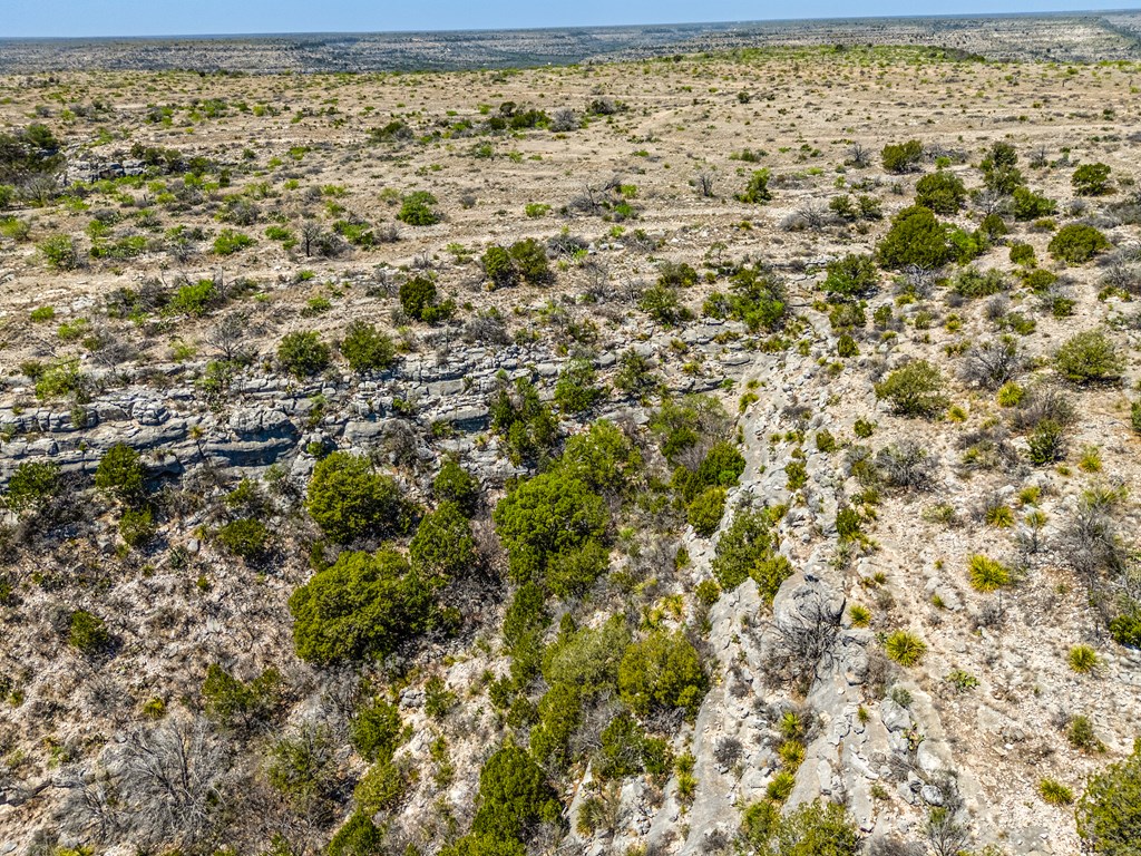 . Deer Run Rd #TR 89, Ozona, Texas image 41