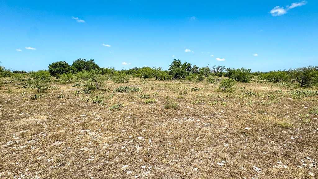 1963 Cave Wells Rd #18, Menard, Texas image 7