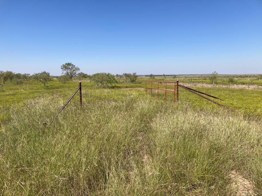 586 County Rd 400, Rowena, Texas image 1