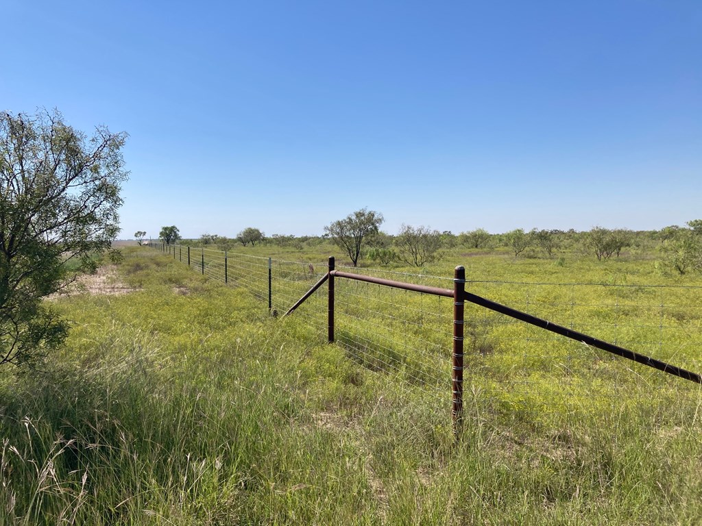 586 County Rd 400, Rowena, Texas image 2