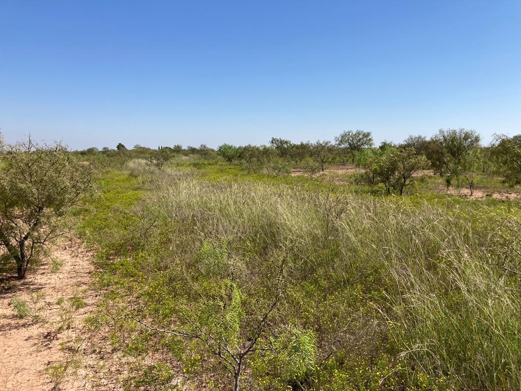 586 County Rd 400, Rowena, Texas image 6