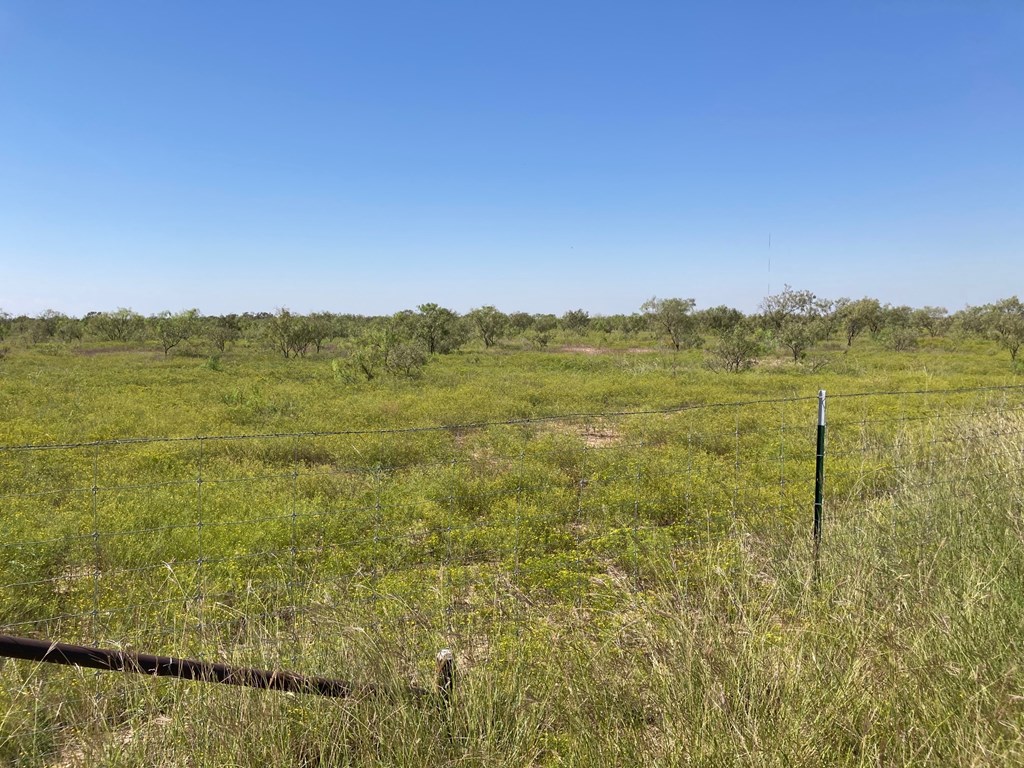 586 County Rd 400, Rowena, Texas image 3