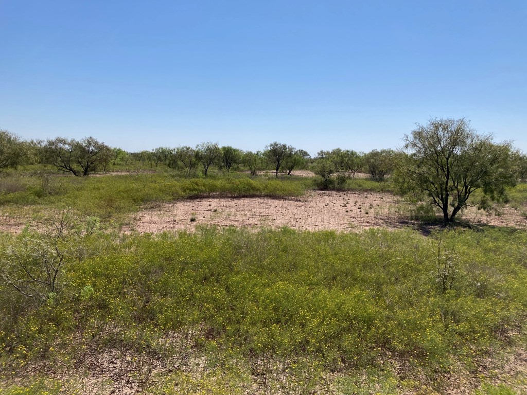 586 County Rd 400, Rowena, Texas image 4