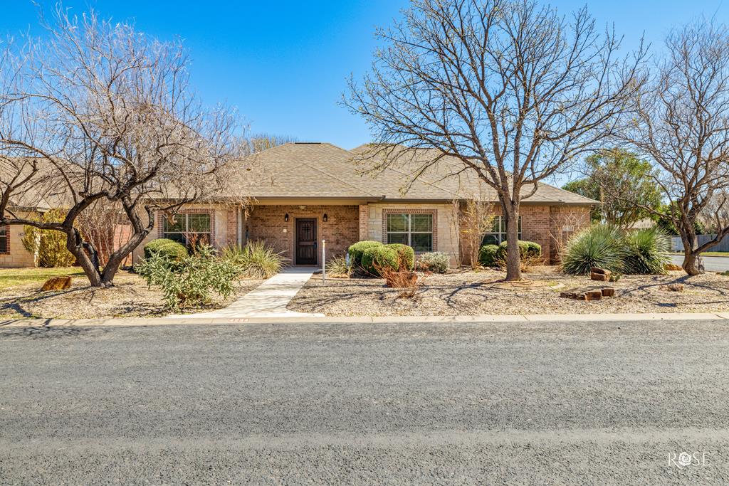 4234 Chisholm Trail, San Angelo, Texas image 1