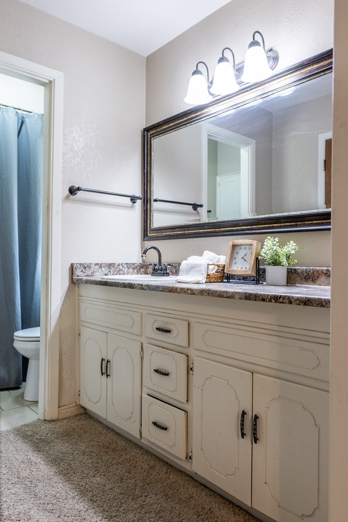 3226 Timber Ridge Dr, San Angelo, Texas image 19