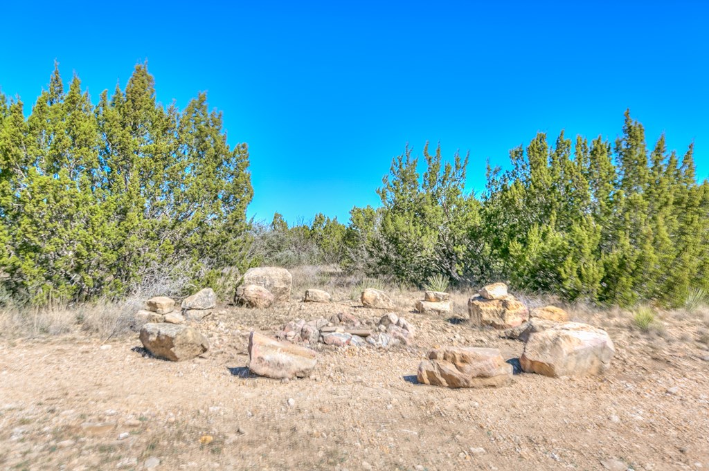 14976 Lake Ivie Dr, Millersview, Texas image 4