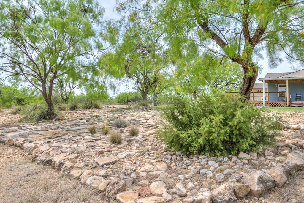 14976 Lake Ivie Dr, Millersview, Texas image 3