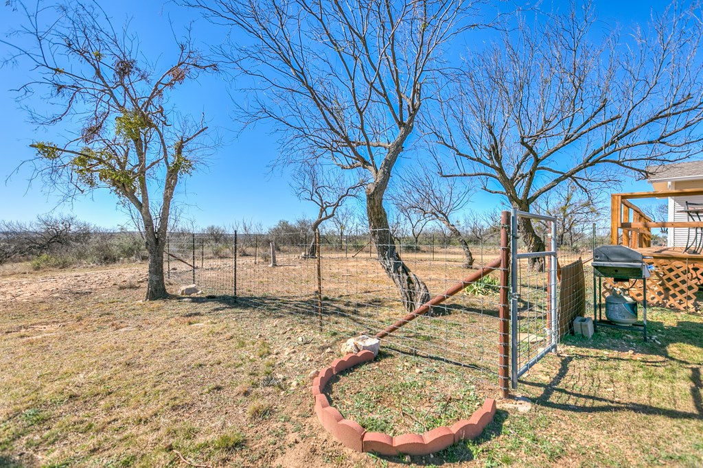 14976 Lake Ivie Dr, Millersview, Texas image 13