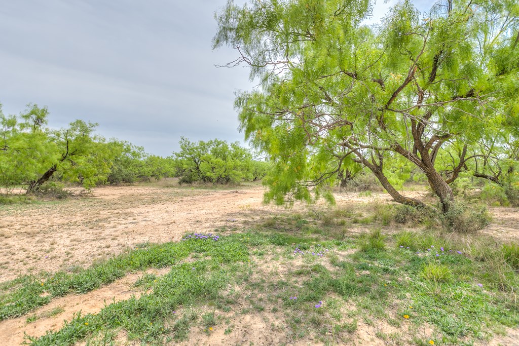 14976 Lake Ivie Dr, Millersview, Texas image 4