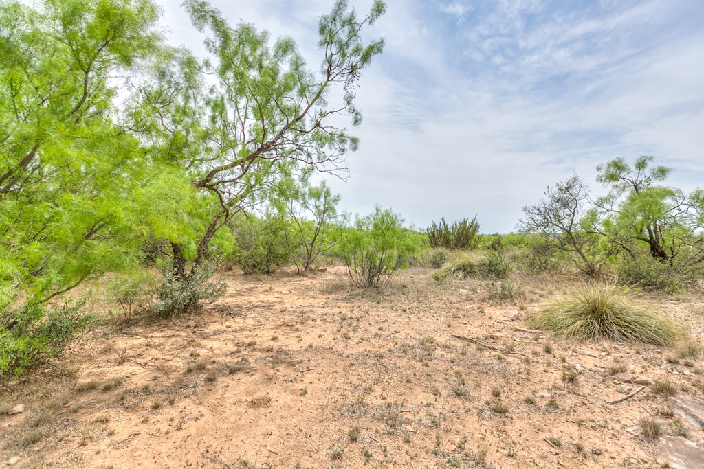14976 Lake Ivie Dr, Millersview, Texas image 9