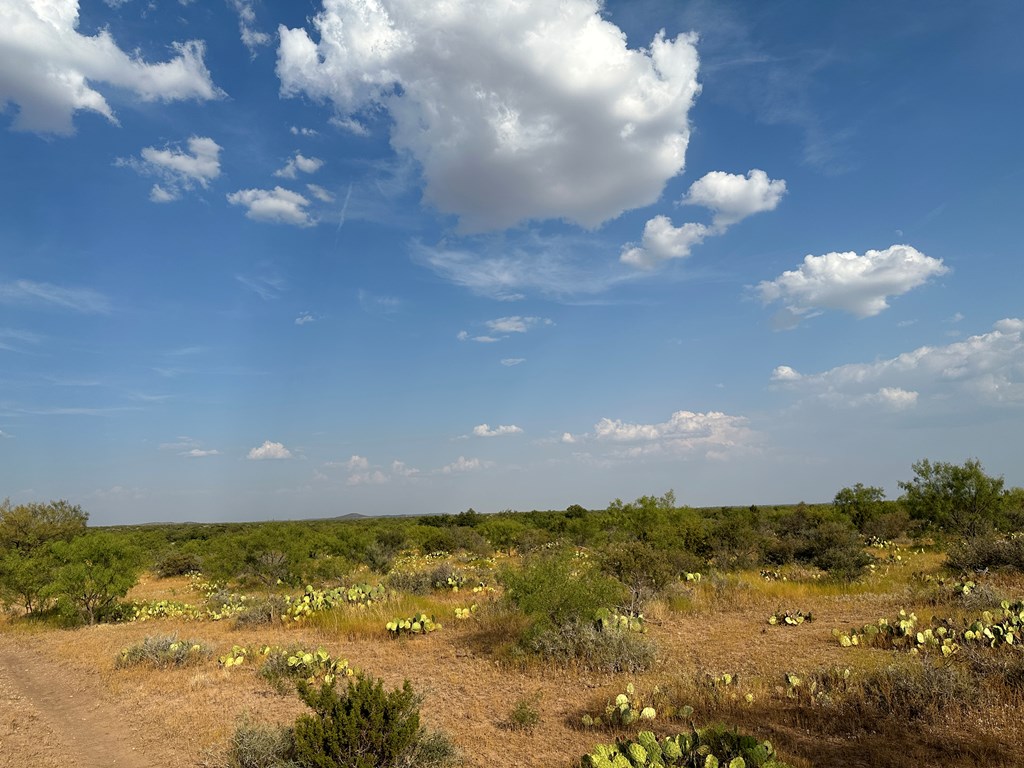 12088 Mule Deer Trail #7, San Angelo, Texas image 20