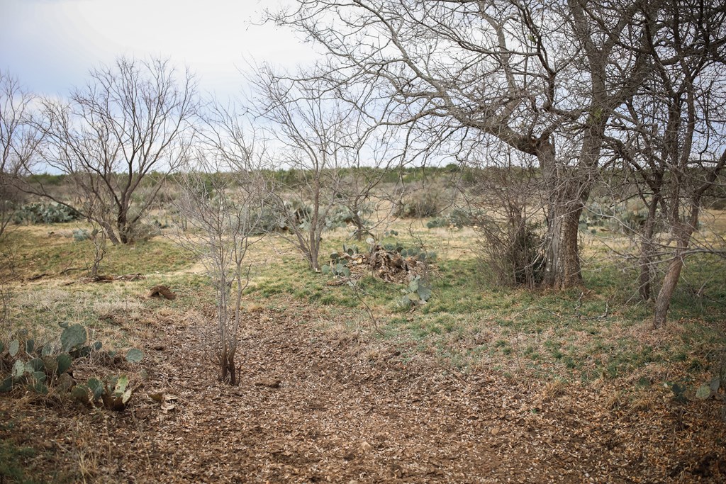 12088 Mule Deer Trail #7, San Angelo, Texas image 31