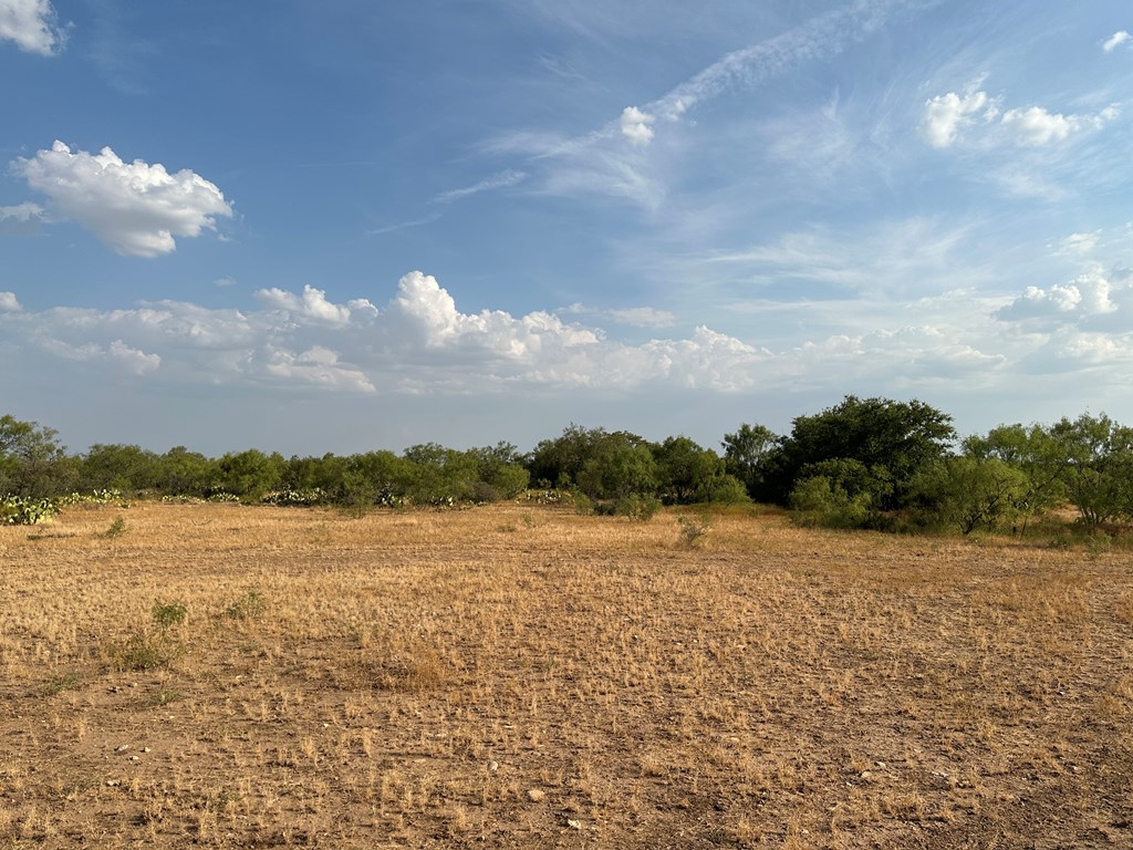 12088 Mule Deer Trail #7, San Angelo, Texas image 21