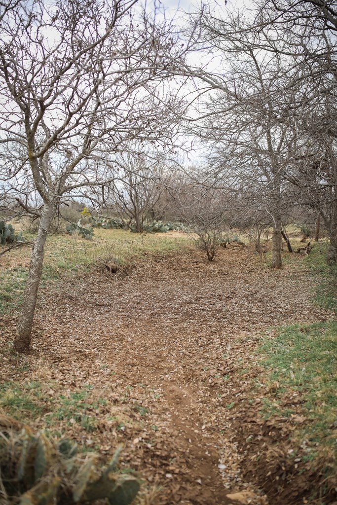 12088 Mule Deer Trail #7, San Angelo, Texas image 27