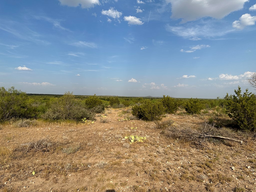 12088 Mule Deer Trail #7, San Angelo, Texas image 19